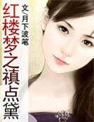 紅樓夢之禛點黛